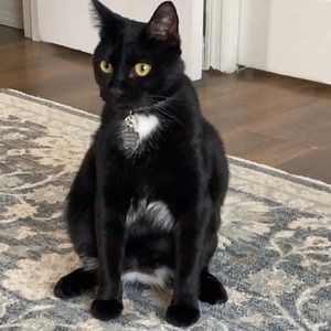 Meet your Posher, Victoria